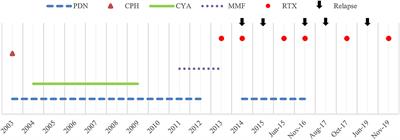 Hypokalemia After Rituximab Administration in Steroid-Dependent Nephrotic Syndrome: A Case Report